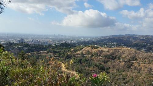 24251193_10155161315818634_2046774918_o